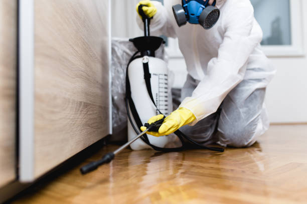 Best Best Pest Control Companies  in East Bakersfield, CA