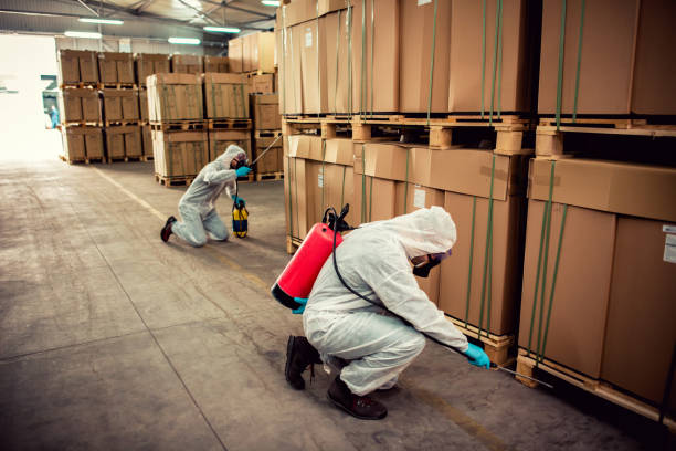 Best Flea Control Services  in East Bakersfield, CA