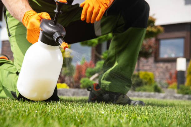 Best Wildlife Control Services  in East Bakersfield, CA