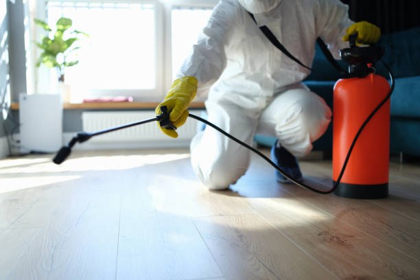 Flea Control Services in East Bakersfield, CA