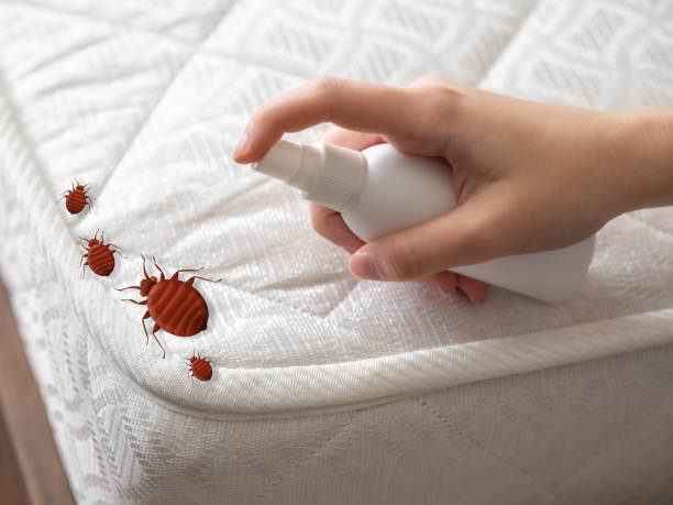 Best Pest Removal Services  in East Bakersfield, CA